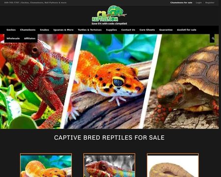 CB Reptile