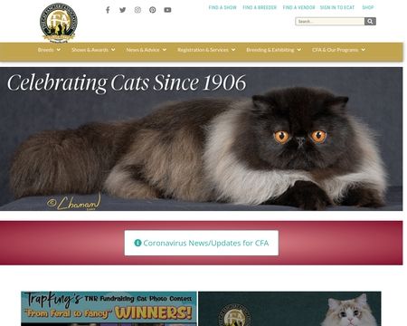 website thubmnail of The Cat Fanciers' Association