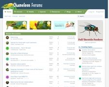 Thumbnail of Chameleon Forums