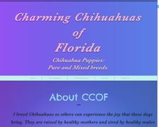Thumbnail of Charmingchihuahuasofflorida.com