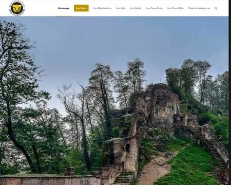 website thubmnail of Cheetah-adventures