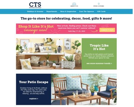 website thubmnail of ChristmasTreeShops