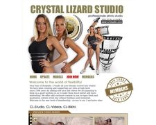 Thumbnail of Crystal Lizard Studio