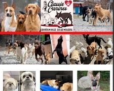 Thumbnail of Classie Canines