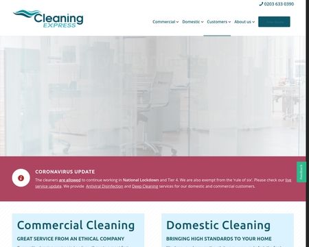 website thubmnail of Cleaning Express