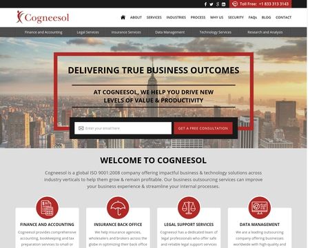 website thubmnail of Cogneesol