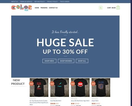 website thubmnail of Colorstee