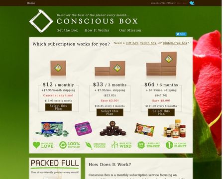website thubmnail of ConciousBox