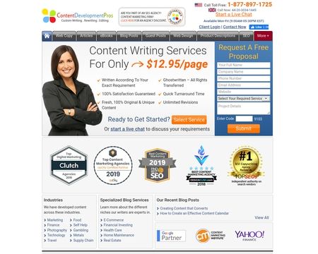 website thubmnail of Content Development Pros