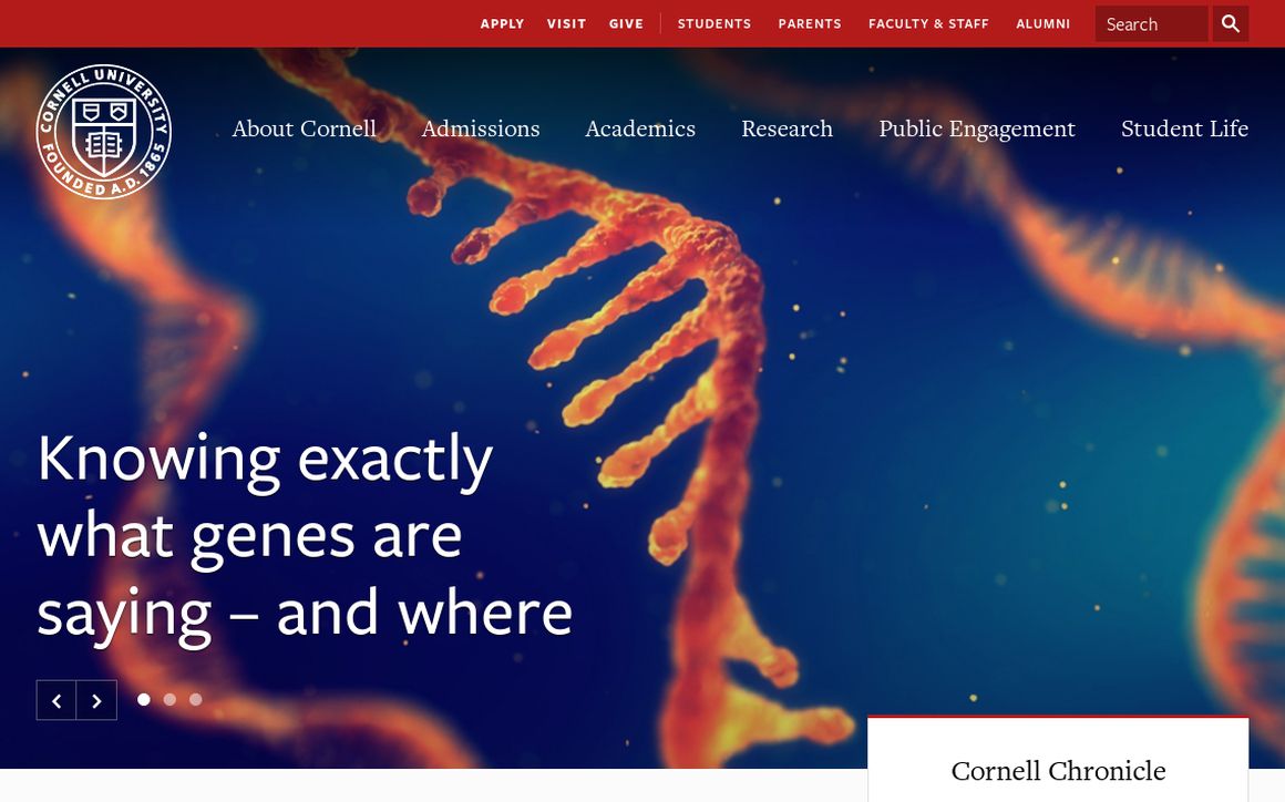 website thubmnail of Cornell University