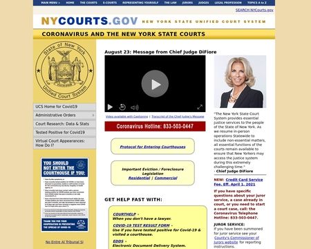 website thubmnail of New York Courts
