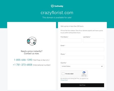 website thubmnail of CrazyFlorist