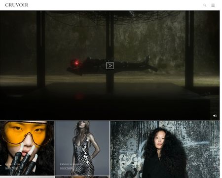 website thubmnail of CRUVOIR