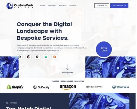 website thubmnail of Customwebonline