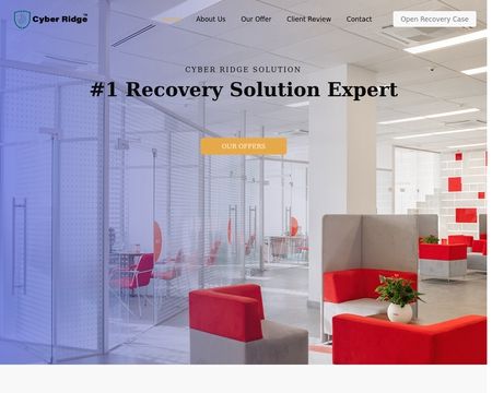 website thubmnail of Cyberridge.tech