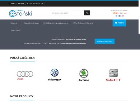 website thubmnail of Czescikaroserii.pl