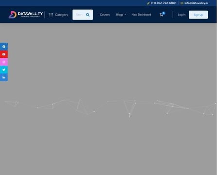 website thubmnail of Datavalley.ai