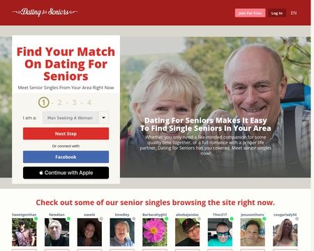 website thubmnail of DatingForSeniors