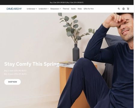 website thubmnail of David Archy