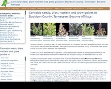 Thumbnail of Davidsoncannabis.tk
