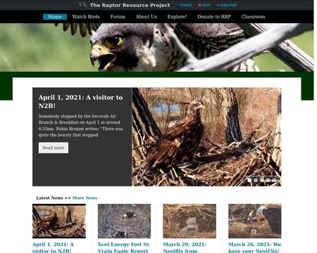 website thubmnail of Decorah Bald Eagles | Raptor Resource Project