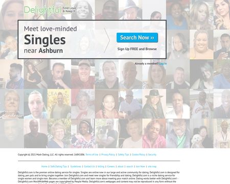 website thubmnail of Delightful
