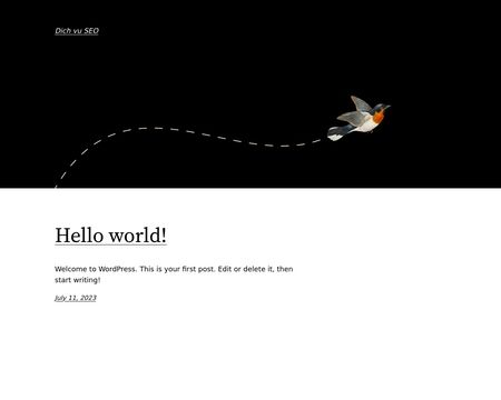 website thubmnail of Dichvuseo.info.vn