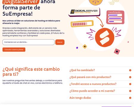 website thubmnail of DigitalServer