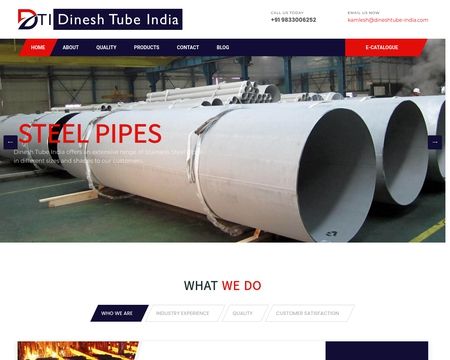 website thubmnail of Dineshtube-india