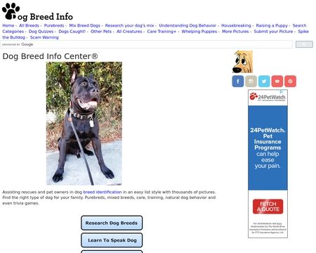 DogBreedInfo