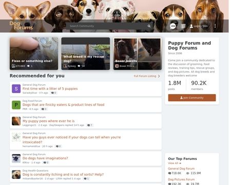 website thubmnail of Dog Forums