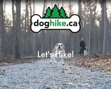 Thumbnail of Doghike.ca