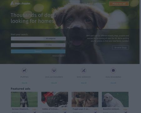 website thubmnail of DogsAndPuppies