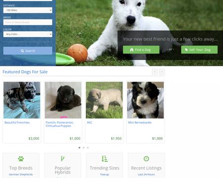 website thubmnail of DogsNow