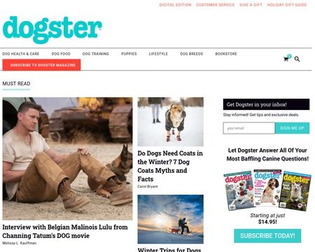 website thubmnail of Dogster