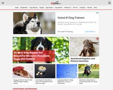 Thumbnail of DogTime Media