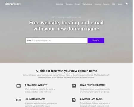website thubmnail of DomainNames