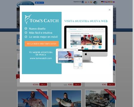 website thubmnail of dPesca