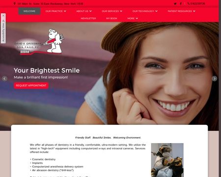 website thubmnail of David A. Grossman