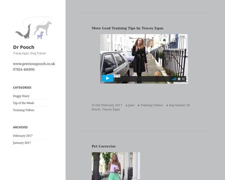 website thubmnail of Dr Pooch