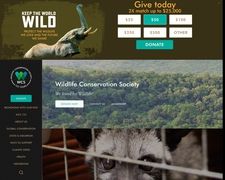 Thumbnail of Saving Wildlife And Wild Places