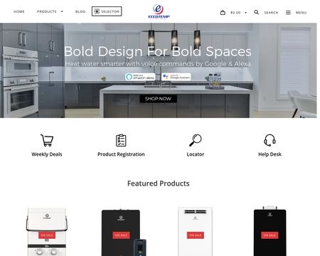 website thubmnail of Eccotemp