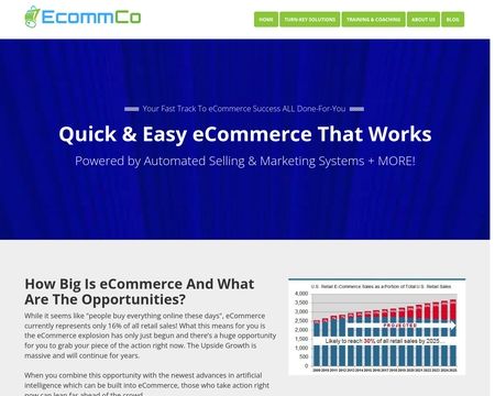 website thubmnail of EcommCo