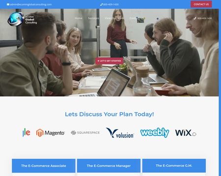 website thubmnail of EComm Global Consulting