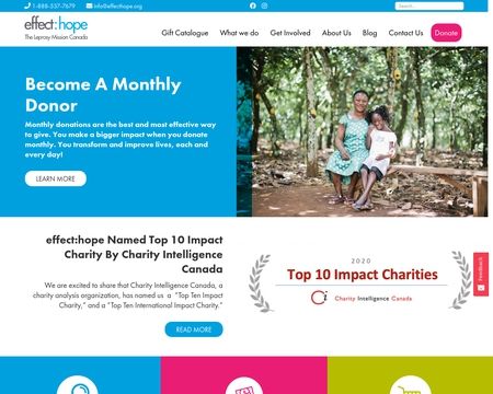 website thubmnail of Effecthope.org