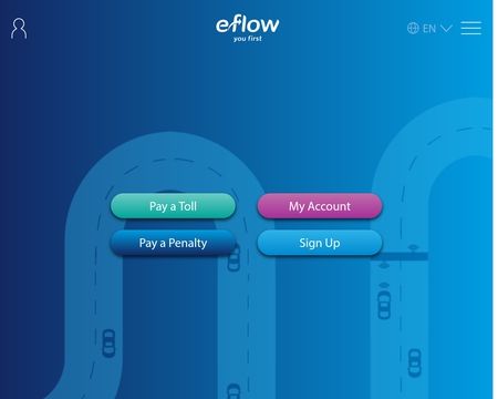 website thubmnail of Eflow.ie