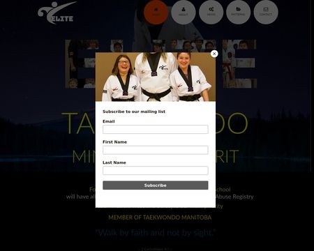 website thubmnail of Elitetkd.ca