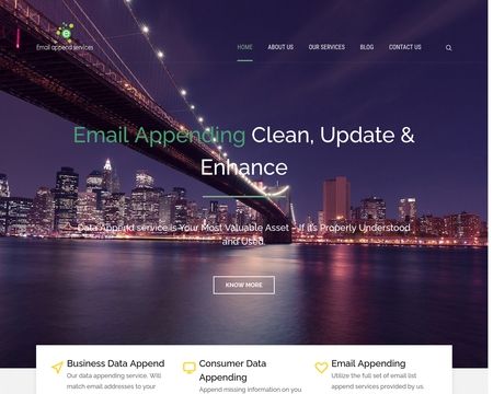 website thubmnail of Email Append Services