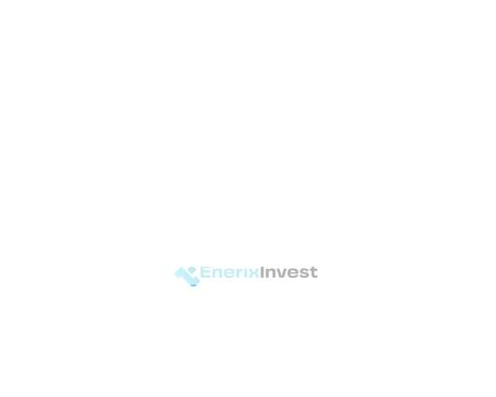 website thubmnail of Enerixinvest.pro