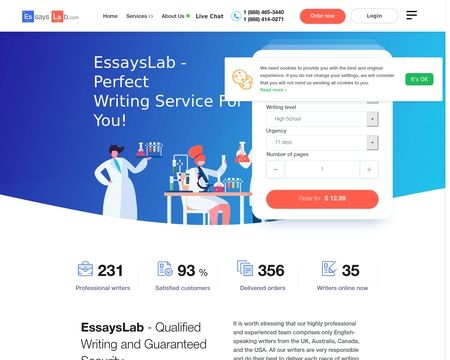 website thubmnail of Essays Lab